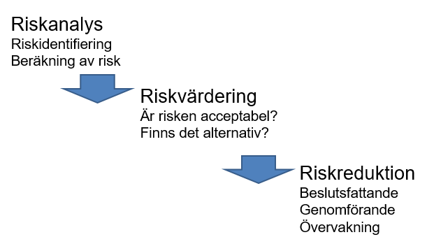 Modell över riskhantering, analys, värdering och reduktion.